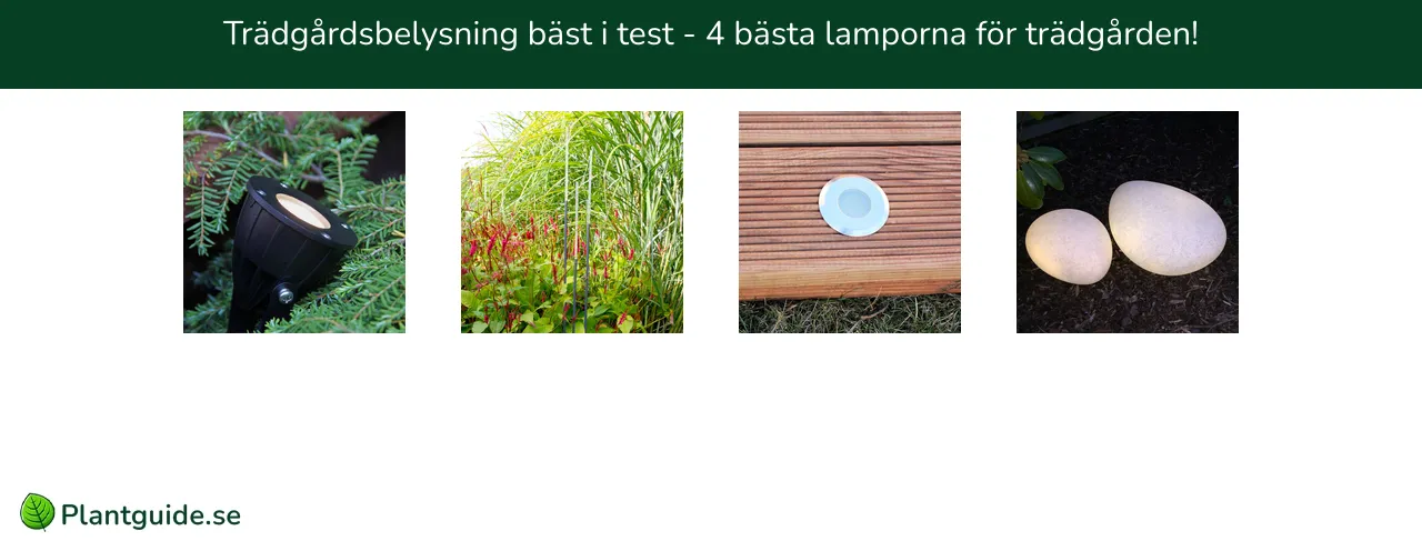 Trädgårdsbelysning bäst i test