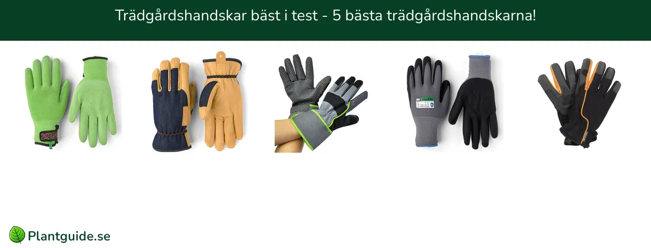 Trädgårdshandskar bäst i test