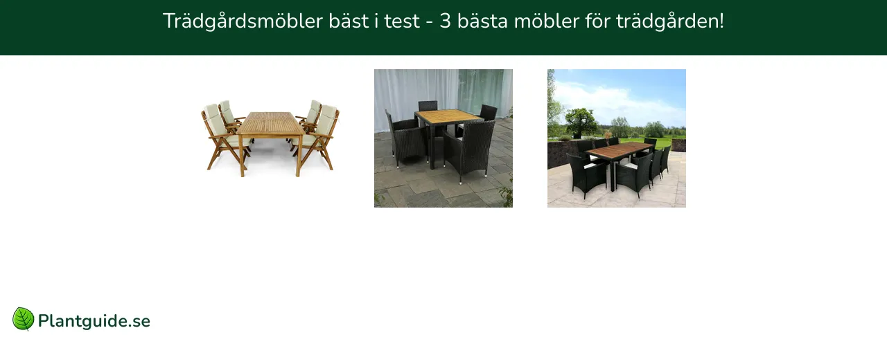 Trädgårdsmöbler bäst i test