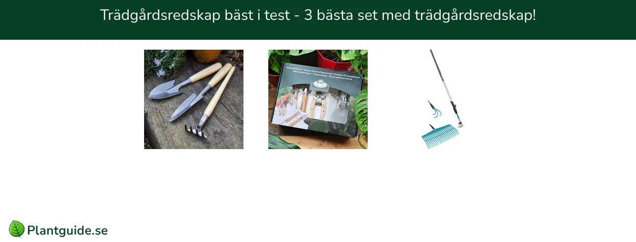 Trädgårdsredskap bäst i test - 3 bästa set med trädgårdsredskap!