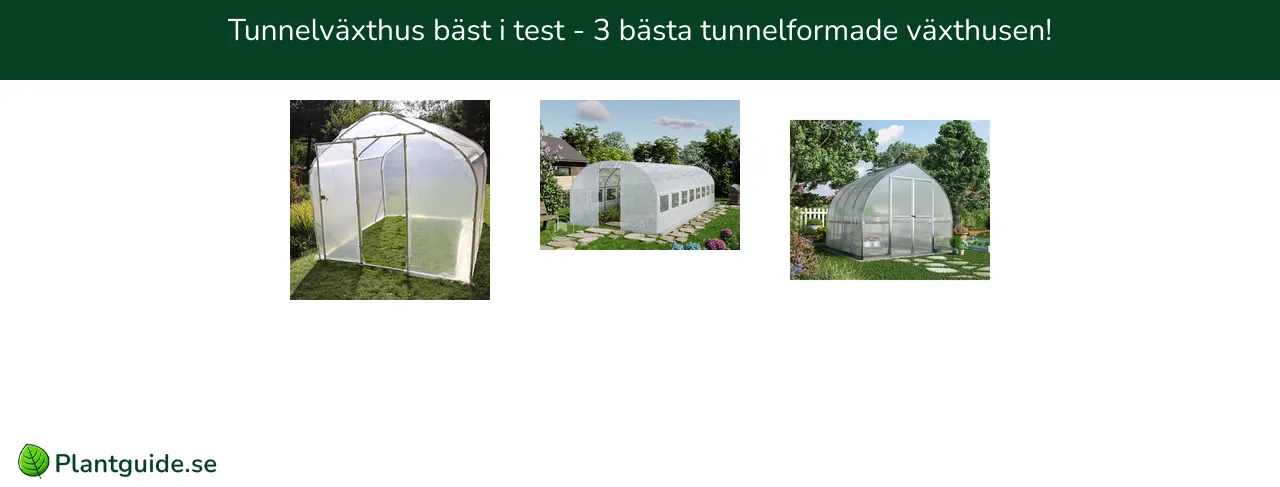 Tunnelväxthus bäst i test