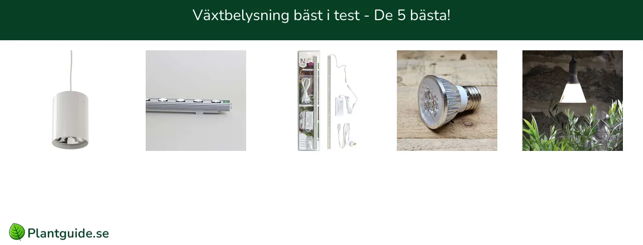 Växtbelysning bäst i test