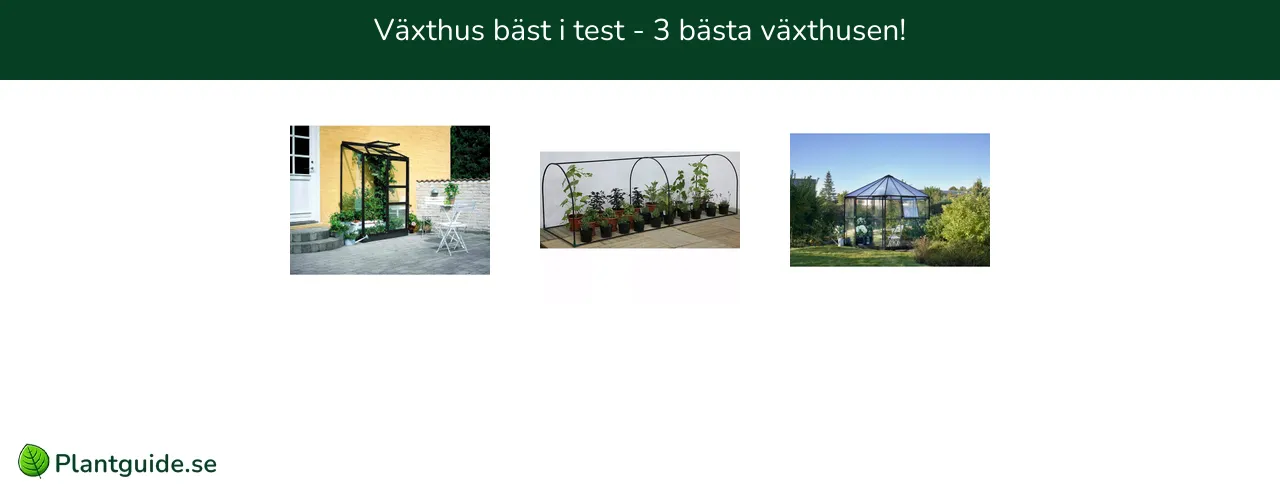 Växthus bäst i test