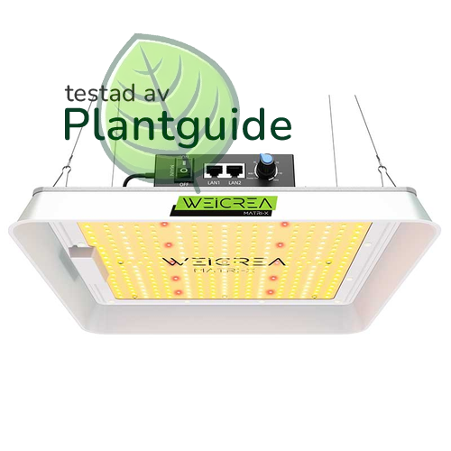 Växtlampa LED - Growboard X 100 W